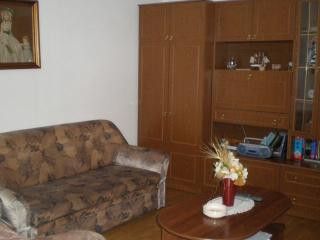Appartment A1 veliki in Nedescina 2