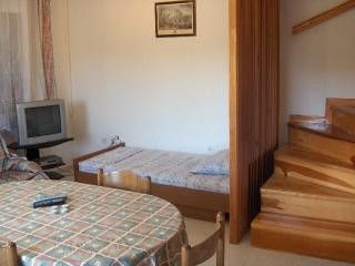 Appartment App.br.1 in Kanica 2