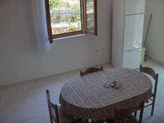 Appartment App.br.1 in Kanica 3