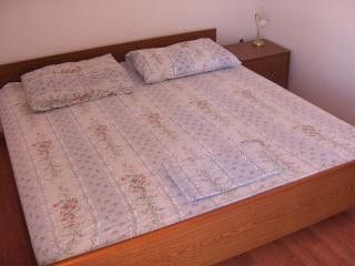 Appartment App.br.1 in Kanica 4