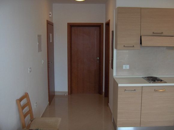 Appartment App br. 3 in Mandre 1