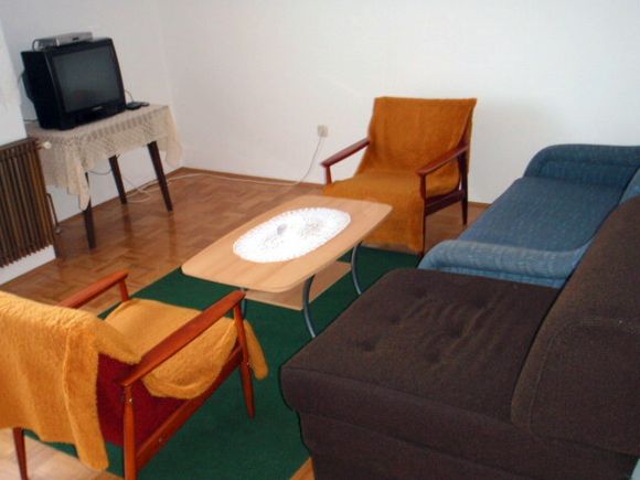 Appartment Apartman br 3 in Grabovac 3
