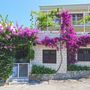 Apartment Plavi in Hvar