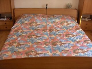 Appartment A1 in Brna 5
