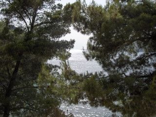 Appartment A1 in Brna 8