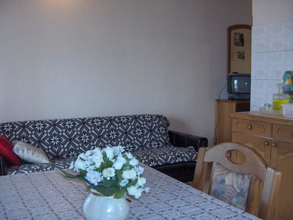 Appartment A1 in Vela Luka - Stracincica 3