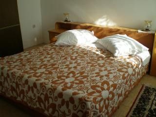 Appartment 1 in Rabac 3