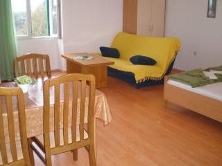 Appartment App. br. 1 in Pula 1