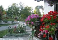 Apartment Studio in Poljanak