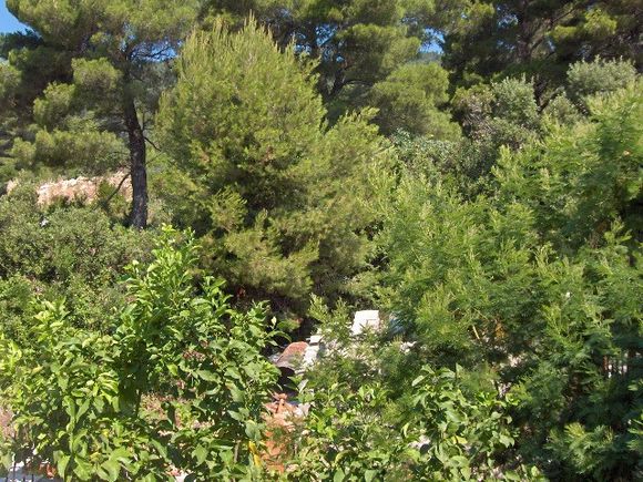 Appartment Dvosobni apartman in Brna 10