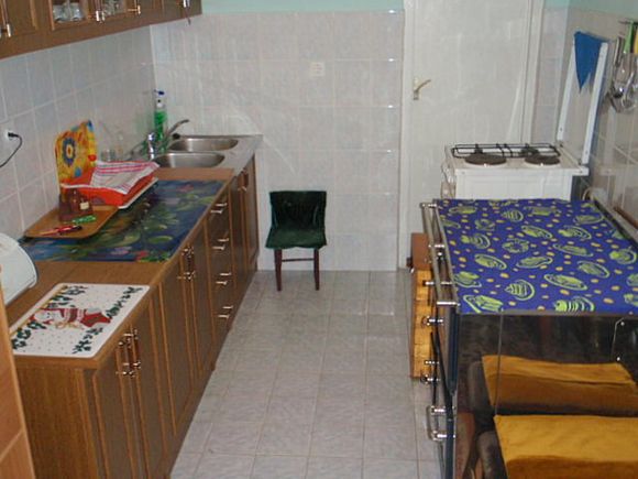 Appartment App br. 1 in Poljanak 1