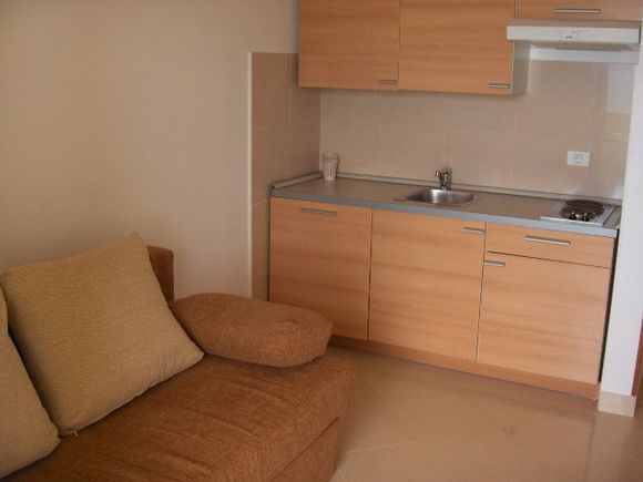 Appartment App br. 9 in Mandre 1