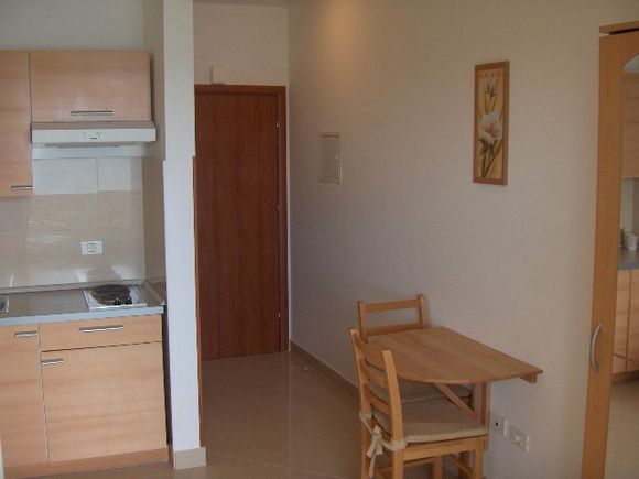Appartment App br. 9 in Mandre 3