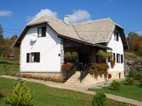 Apartment Kuća Alen in Poljanak