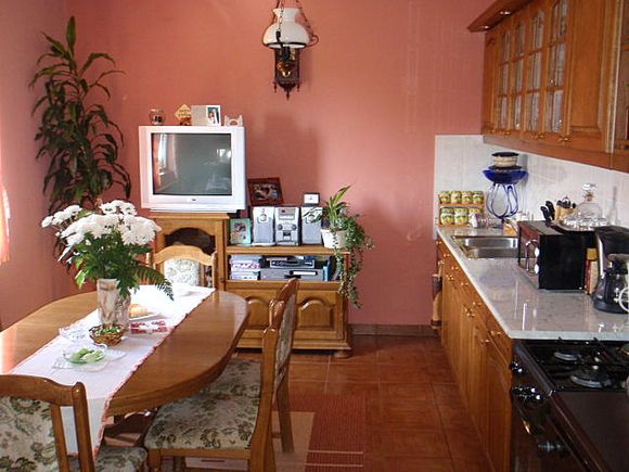 Appartment Kuća Alen in Poljanak 1