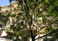 Apartment Soba br. 8 in Sukosan