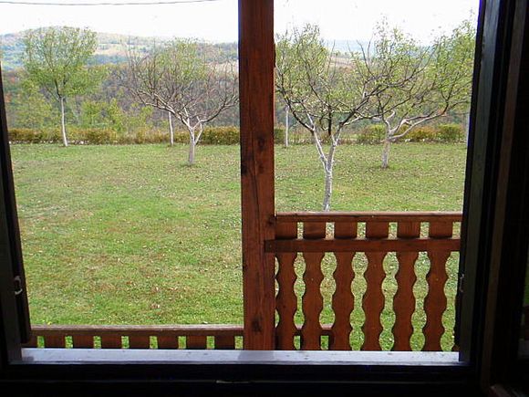 Appartment A 3 in Poljanak 8