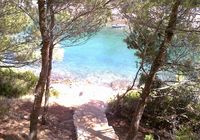 Apartment  in Basina