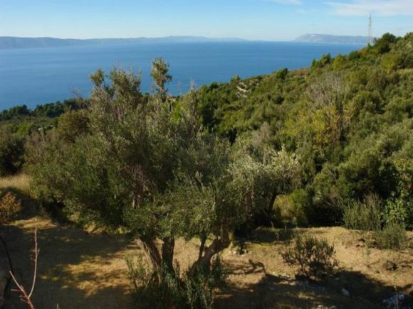 Appartment App 5 in Podgora 18