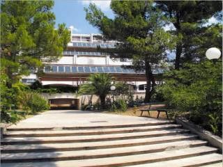 Appartment Hotel Hrvatska in Baska Voda 1