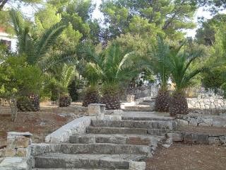 Appartment Hotel Odisej in Pomena 5