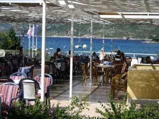 Appartment Vile Koloćep in Island Kolocep 6