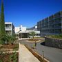 Appartment Hotel Elaphusa in Bol 1