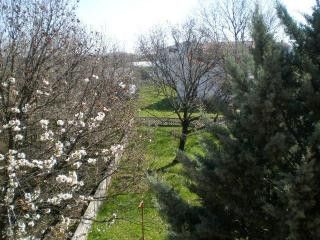 Appartment 177 in Porec 8