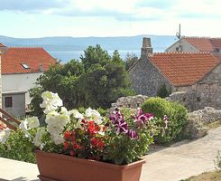 Apartment Zeleni in Bol